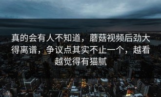 真的会有人不知道，蘑菇视频后劲大得离谱，争议点其实不止一个，越看越觉得有猫腻