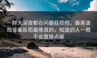 一群人深夜都在问蘑菇视频，最离谱的答案反而最像真的，知道的人一般不会直接点破
