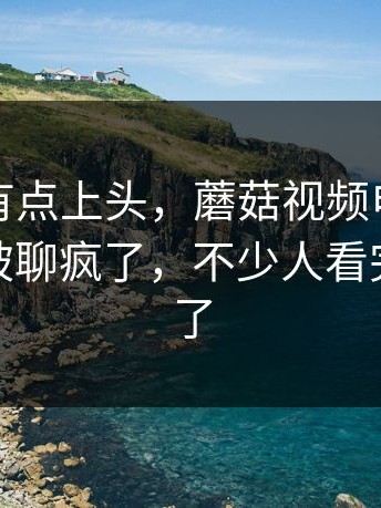 说实话有点上头，蘑菇视频电脑版最近突然被聊疯了，不少人看完都沉默了