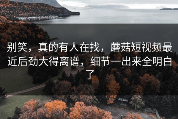 别笑，真的有人在找，蘑菇短视频最近后劲大得离谱，细节一出来全明白了