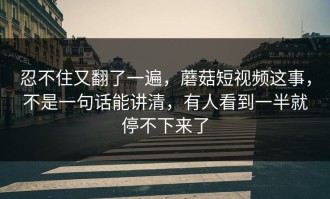 忍不住又翻了一遍，蘑菇短视频这事，不是一句话能讲清，有人看到一半就停不下来了