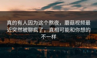 真的有人因为这个熬夜，蘑菇视频最近突然被聊疯了，真相可能和你想的不一样