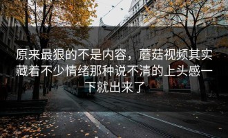 原来最狠的不是内容，蘑菇视频其实藏着不少情绪那种说不清的上头感一下就出来了