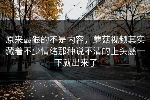 原来最狠的不是内容，蘑菇视频其实藏着不少情绪那种说不清的上头感一下就出来了
