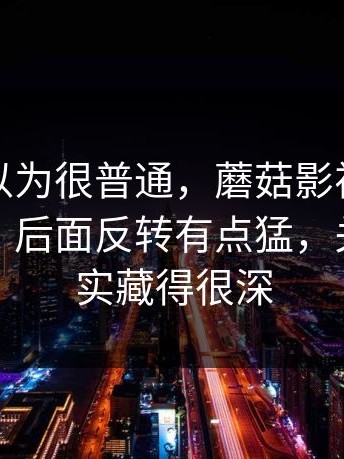 一开始以为很普通，蘑菇影视在线观看最近，后面反转有点猛，关键点其实藏得很深