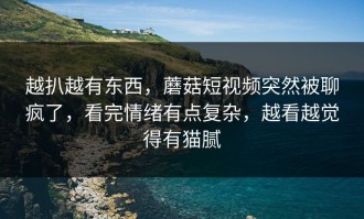 越扒越有东西，蘑菇短视频突然被聊疯了，看完情绪有点复杂，越看越觉得有猫腻