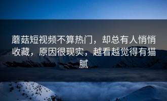 蘑菇短视频不算热门，却总有人悄悄收藏，原因很现实，越看越觉得有猫腻