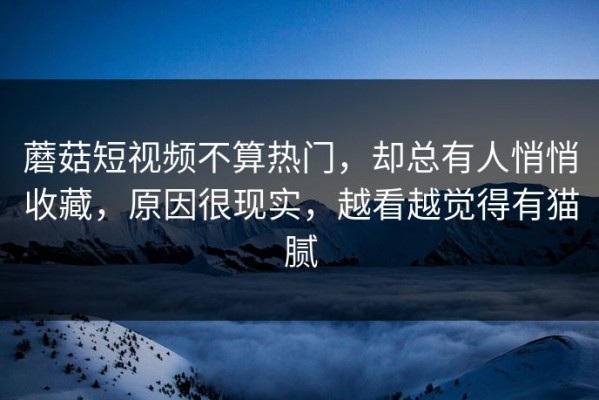 蘑菇短视频不算热门，却总有人悄悄收藏，原因很现实，越看越觉得有猫腻