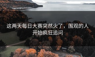 这两天每日大赛突然火了，围观的人开始疯狂追问