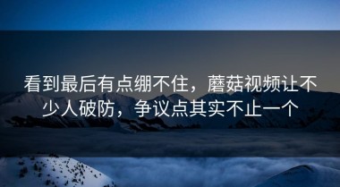 看到最后有点绷不住，蘑菇视频让不少人破防，争议点其实不止一个