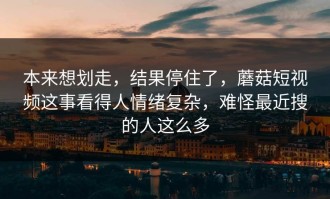 本来想划走，结果停住了，蘑菇短视频这事看得人情绪复杂，难怪最近搜的人这么多
