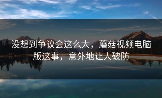 没想到争议会这么大，蘑菇视频电脑版这事，意外地让人破防