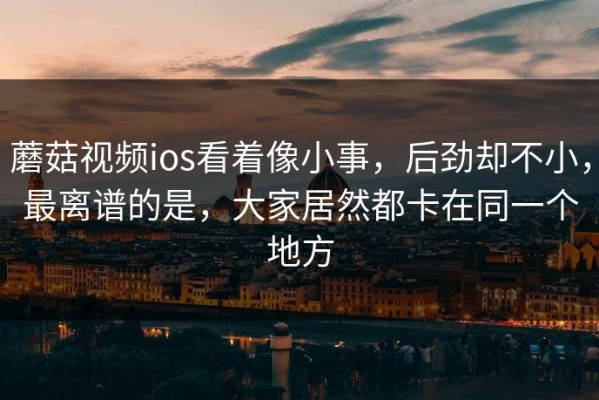 蘑菇视频ios看着像小事，后劲却不小，最离谱的是，大家居然都卡在同一个地方