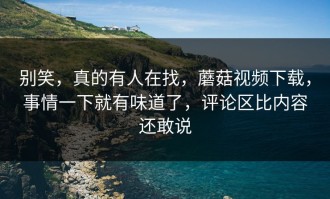 别笑，真的有人在找，蘑菇视频下载，事情一下就有味道了，评论区比内容还敢说