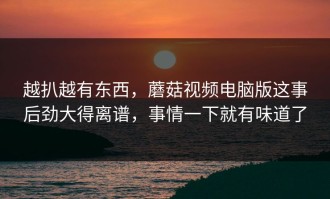 越扒越有东西，蘑菇视频电脑版这事后劲大得离谱，事情一下就有味道了