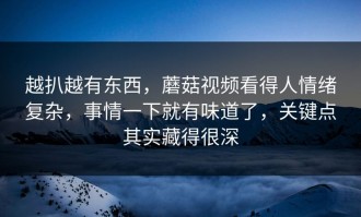 越扒越有东西，蘑菇视频看得人情绪复杂，事情一下就有味道了，关键点其实藏得很深