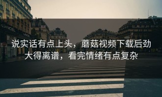 说实话有点上头，蘑菇视频下载后劲大得离谱，看完情绪有点复杂