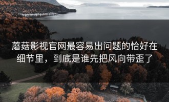 蘑菇影视官网最容易出问题的恰好在细节里，到底是谁先把风向带歪了