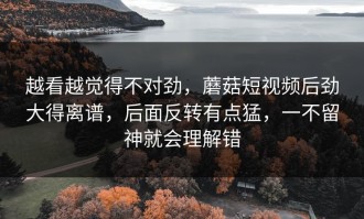 越看越觉得不对劲，蘑菇短视频后劲大得离谱，后面反转有点猛，一不留神就会理解错