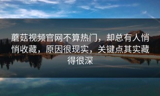 蘑菇视频官网不算热门，却总有人悄悄收藏，原因很现实，关键点其实藏得很深