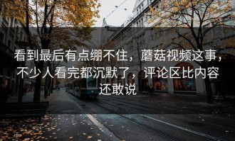 看到最后有点绷不住，蘑菇视频这事，不少人看完都沉默了，评论区比内容还敢说