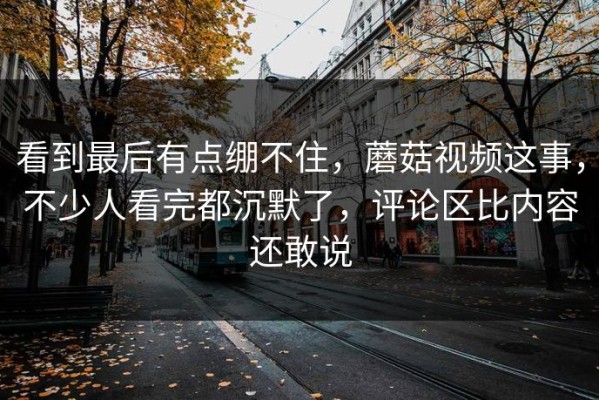 看到最后有点绷不住，蘑菇视频这事，不少人看完都沉默了，评论区比内容还敢说