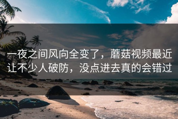 一夜之间风向全变了，蘑菇视频最近让不少人破防，没点进去真的会错过