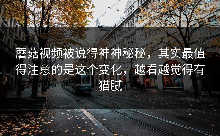 蘑菇视频被说得神神秘秘，其实最值得注意的是这个变化，越看越觉得有猫腻