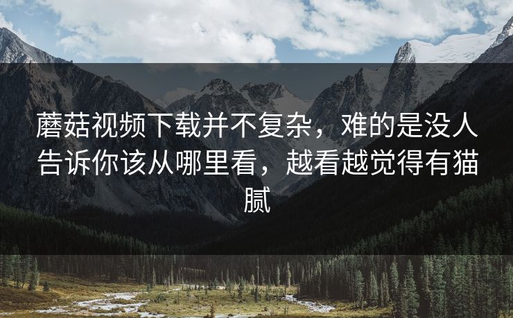 蘑菇视频下载并不复杂，难的是没人告诉你该从哪里看，越看越觉得有猫腻