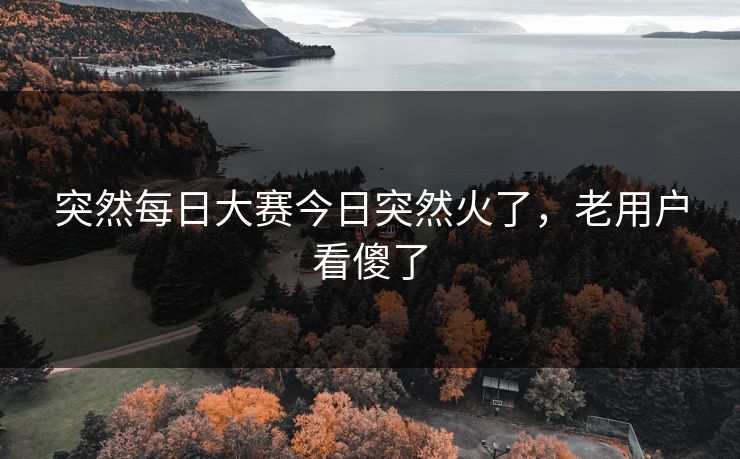 突然每日大赛今日突然火了，老用户看傻了