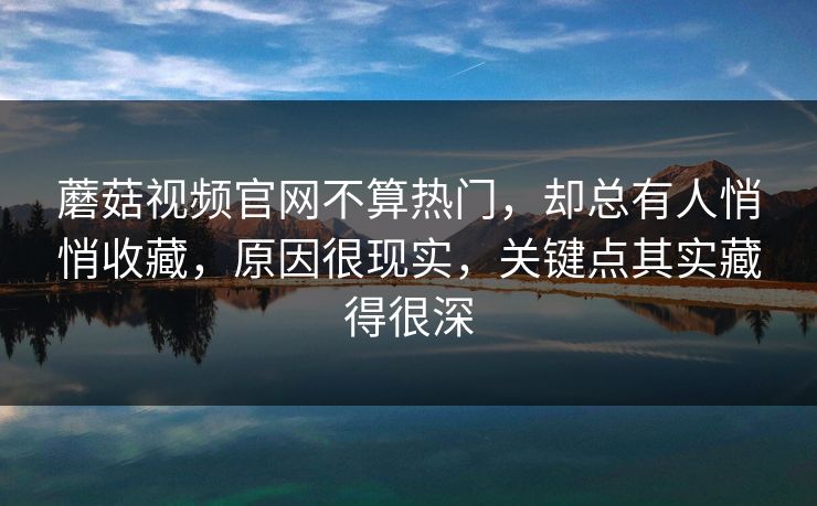 蘑菇视频官网不算热门，却总有人悄悄收藏，原因很现实，关键点其实藏得很深