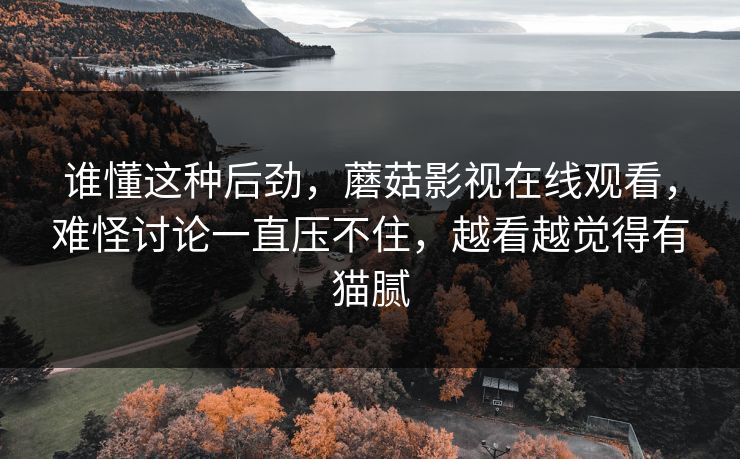 谁懂这种后劲，蘑菇影视在线观看，难怪讨论一直压不住，越看越觉得有猫腻