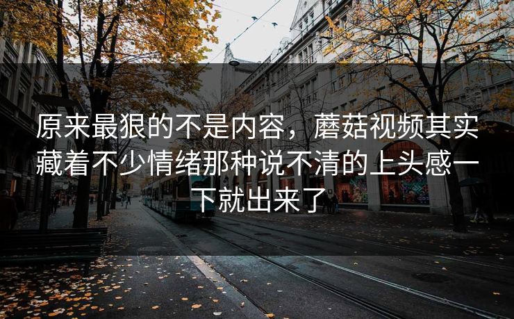 原来最狠的不是内容，蘑菇视频其实藏着不少情绪那种说不清的上头感一下就出来了