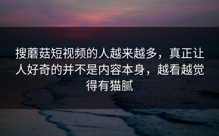 搜蘑菇短视频的人越来越多，真正让人好奇的并不是内容本身，越看越觉得有猫腻