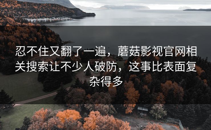 忍不住又翻了一遍，蘑菇影视官网相关搜索让不少人破防，这事比表面复杂得多