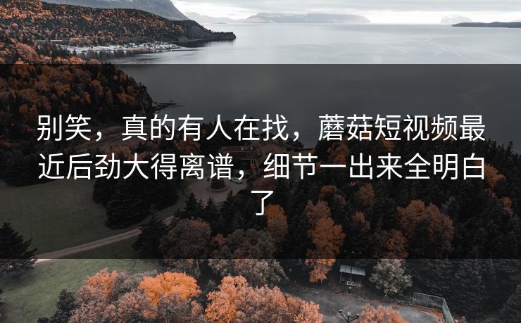 别笑，真的有人在找，蘑菇短视频最近后劲大得离谱，细节一出来全明白了
