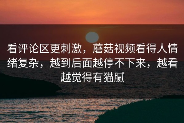看评论区更刺激，蘑菇视频看得人情绪复杂，越到后面越停不下来，越看越觉得有猫腻