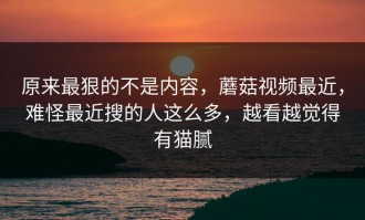 原来最狠的不是内容，蘑菇视频最近，难怪最近搜的人这么多，越看越觉得有猫腻