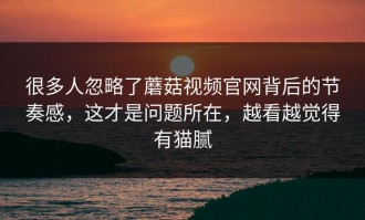 很多人忽略了蘑菇视频官网背后的节奏感，这才是问题所在，越看越觉得有猫腻