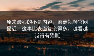 原来最狠的不是内容，蘑菇视频官网最近，这事比表面复杂得多，越看越觉得有猫腻