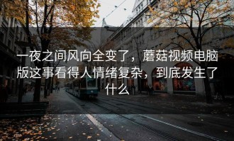 一夜之间风向全变了，蘑菇视频电脑版这事看得人情绪复杂，到底发生了什么