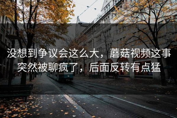 没想到争议会这么大，蘑菇视频这事突然被聊疯了，后面反转有点猛