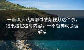 一直没人认真聊过蘑菇视频这件事，结果越挖越有内容，一不留神就会理解错