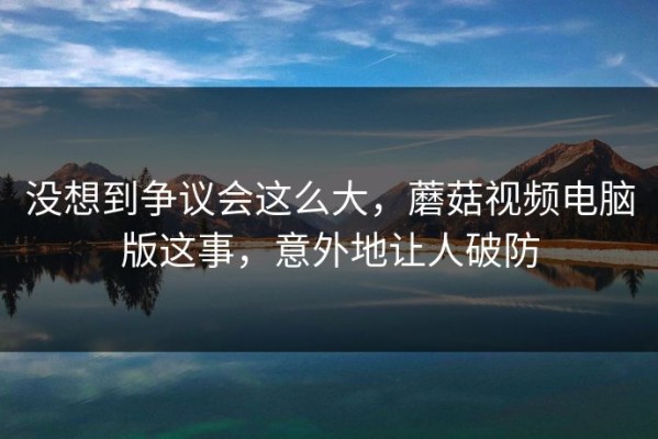 没想到争议会这么大，蘑菇视频电脑版这事，意外地让人破防