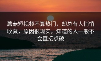 蘑菇短视频不算热门，却总有人悄悄收藏，原因很现实，知道的人一般不会直接点破