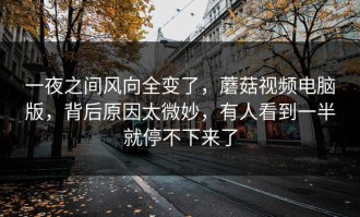 一夜之间风向全变了，蘑菇视频电脑版，背后原因太微妙，有人看到一半就停不下来了