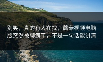 别笑，真的有人在找，蘑菇视频电脑版突然被聊疯了，不是一句话能讲清