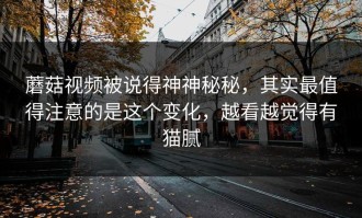 蘑菇视频被说得神神秘秘，其实最值得注意的是这个变化，越看越觉得有猫腻