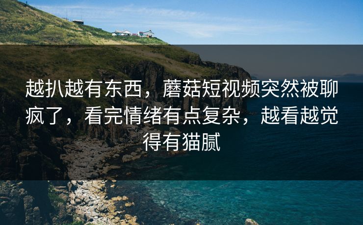 越扒越有东西，蘑菇短视频突然被聊疯了，看完情绪有点复杂，越看越觉得有猫腻