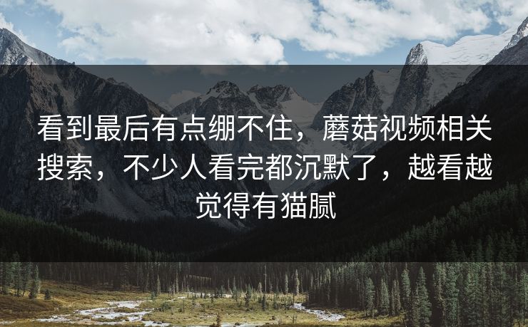 看到最后有点绷不住，蘑菇视频相关搜索，不少人看完都沉默了，越看越觉得有猫腻